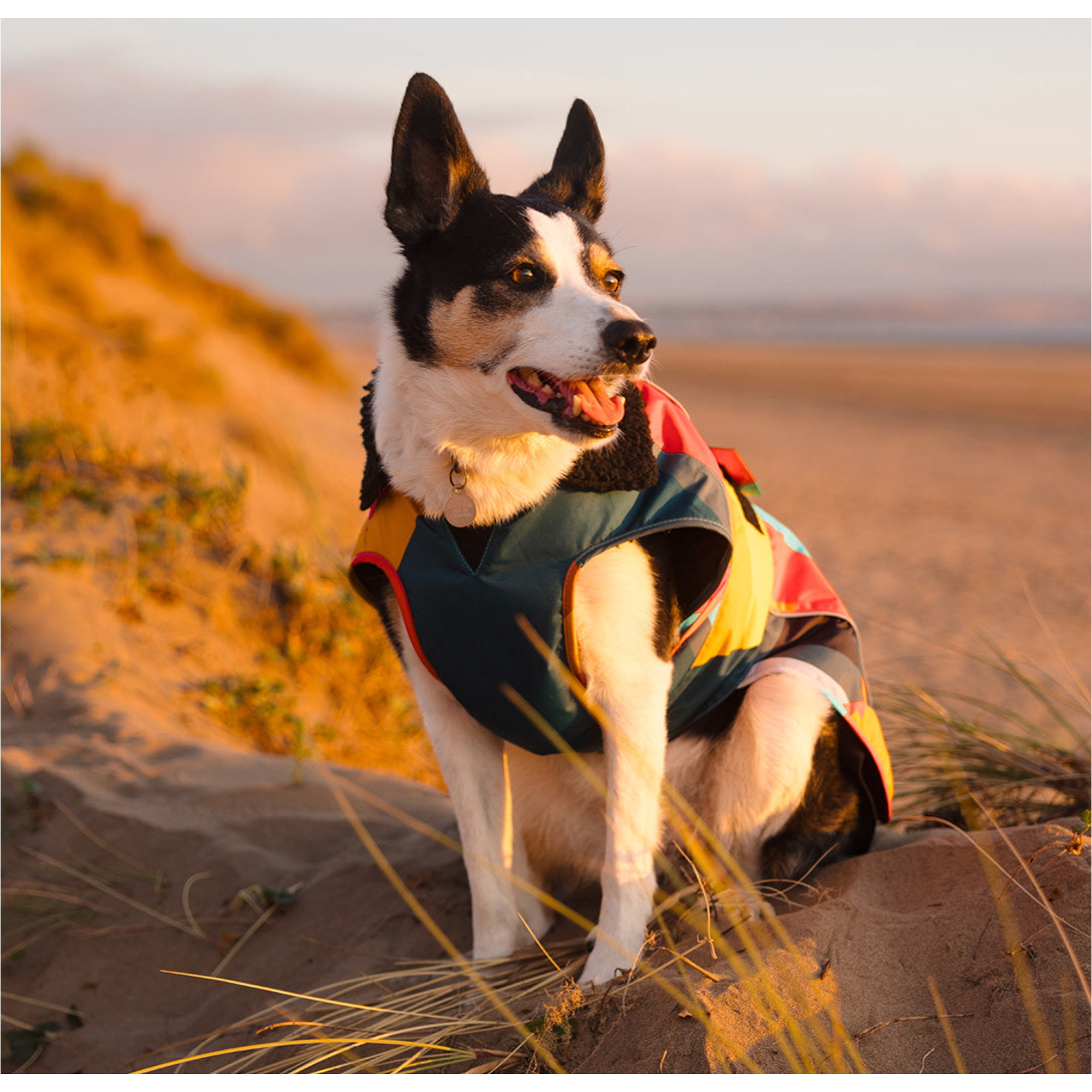 2026 Dryrobe Dog Coat V3DRDC - Abstract